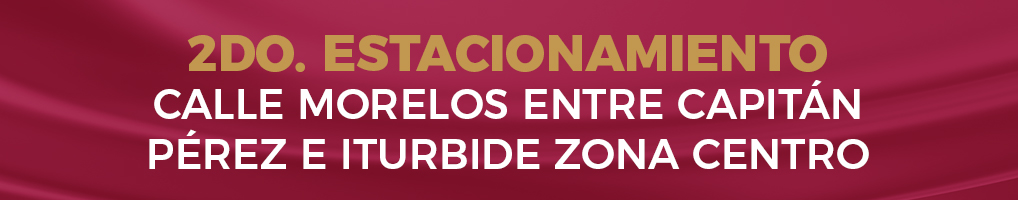 1er Estacionamiento Calle Hidalgo entre Quintero y Juárez Zona centro